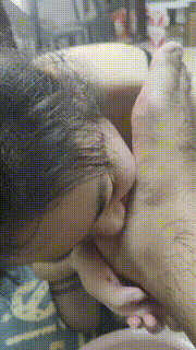 【兔兔m】重口非喜勿进-男M训母畜JS241228-19