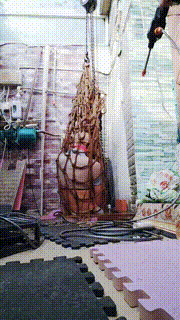 【月神】吊笼囚禁之刑JS241025-17