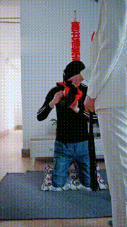 【bibi团】御姐日常玩狗 bf10625