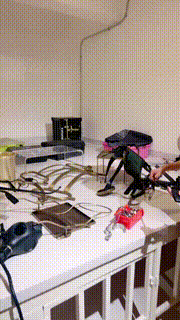 【宇婉莹】圈养试用第一天 bf32503