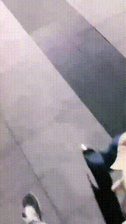 【嘉妮】户外惩罚跟踪狂-骑马遛狗舔脚【双视角完整版】 bf25741_1