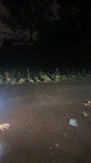 【辣姐】户外溜双狗-脏鞋底喂食耳光骑马磕头求饶 bf32230