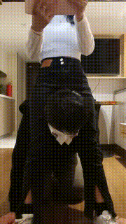 【海绵大大】惩罚废物狗 bf24077