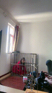 【萝莉刑】狗笼里的母畜 bf24633