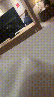 【做你后妈】偷看闺蜜玩狗奴【上】 JS23091805