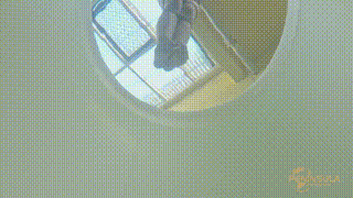 【半岛束艺】这是一家被绳艺耽误的杂技团~波雅