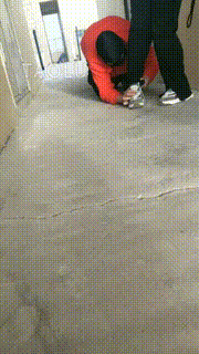 【情侣月儿】户外天台调狗遛狗 bf8634