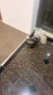 【甜甜】尝试开发外卖小哥 bf7381