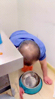 【安可S】圈养生活第四天-户外餐厅脚下喂食【双视角版】 bf27050_1