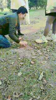 【雨雨大人&amp;ampamp一璇S】双s户外偶遇调教修理贱狗（双视角）bf21977_2