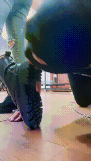 【西安欣】狗笼圈养喂食狗【双视角版】 bf24282_2