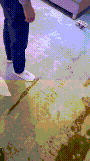 【多多】长靴御姐S五花大绑鞭打狗 bf25261