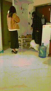 【Esse殿下】贱奴放鸽子的下场