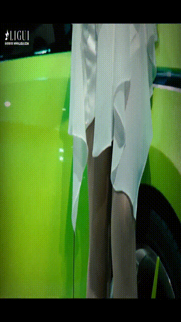 【丽柜】2017.10.24 HD视频 车展[1V144M]