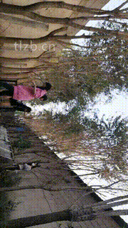 【沅芷大人】高能刑-清晨群调圈养奴-下【三视角版】 bf34121_1