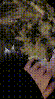 【雪莉】麦当劳公开玩弄私奴 bf7352