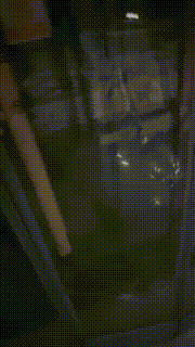 【桃幼幼】学生主户外溜双狗 bf23005