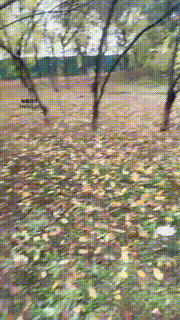 【伊潼】户外抓住跟踪狂暴揍JS241114-9