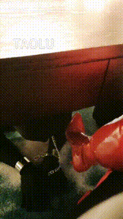 【Queen夏】小黑犬第一天被训化 bf11508_2