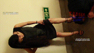 【明妃S】特务系列2