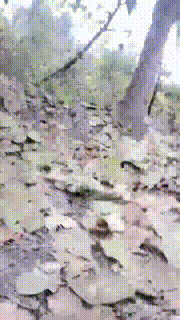 【田甜圈】户外双S虐杀偷拍狂【三视角版】 bf24057_2