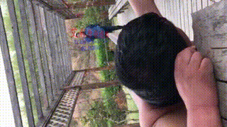 冷天使女王私人别墅调教下贱肥猪