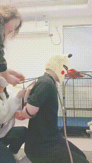 【安静大大】母女S-圈养邻居狗虐待【双视角版】 bf24640_2