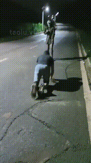 【朱迪】双S户外遛狗散步【双视角版】 bf33283_2