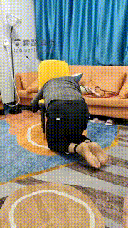 【万灵】新鞭子开光仪式 bf18850