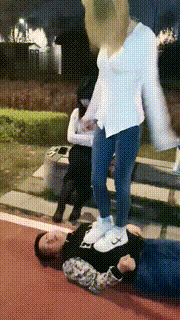 【紫烟】双S户外玩狗狗【双视角版】 bf9006_2