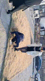 【汝野】户外遛狗爬行清理脏鞋子【双视角版】JS241230-19_1