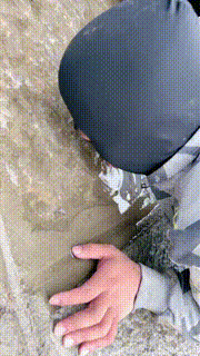 【宸宸】双S户外遛狗-清理脏泥靴底喝地上脏水【双视角版】bf26780_2