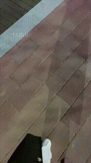 【玖玖S】大学生S户外骑马 bf8591