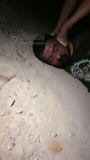 【诺曦】精彩-户外抓住偷拍狂 bf19136