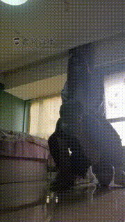 【奶欲】绿帽奴就是犯贱 bf18918