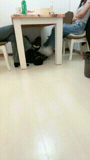 【Da猫】双S-桌底脏鞋伺候【三视角版】JS250312-30_03