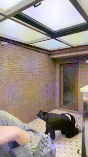 【桃幼幼】圈养教训脚奴-手铐捆绑鞭打骑马耳光关户外囚禁 bf27442