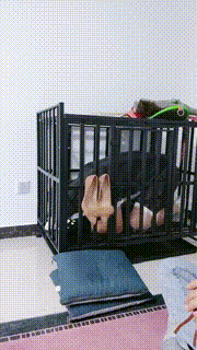 【五公主】囚禁狗笼陪主人直播JS241012-4