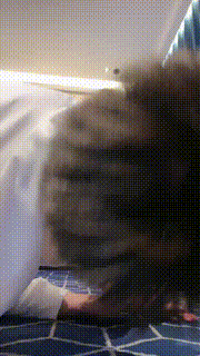 【奈奈生】御姐欺负奶狗-舔脏运动鞋-原味白袜辱狗-舔脚趾 bf28989