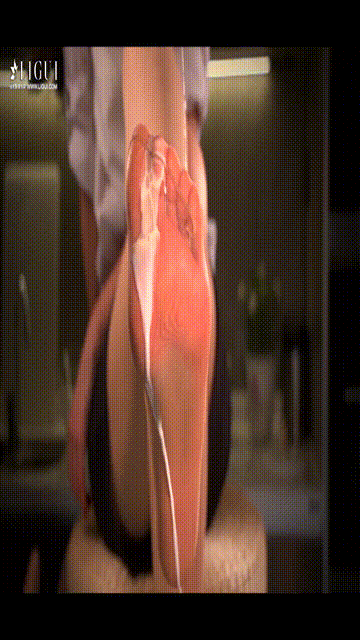 【丽柜】2017.11.16 HD视频 雪糕[1V204M]