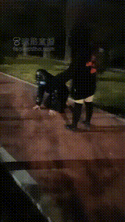 【雨雨大人】深夜路边遛狗 bf21916