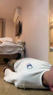 【诗酒S】脏小白鞋棉袜踩狗 bf23511