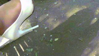 暑期定制丽莎语言魅惑羞辱