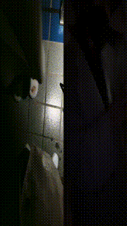 奶油米御姐姐调教贱狗捆绑如木乃伊【双视角】JS241026-14_01