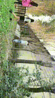 【沅芷大人】高能刑-清晨群调圈养奴-上【三视角版】JS23101520_2