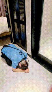 【尤黎】喝漱口水-吃鼻涕-狗姿势舔圣水 bf29820