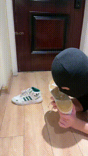 【毛绒月亮】伺候主人下班-舔脏鞋闻臭袜-喝圣水 bf34138