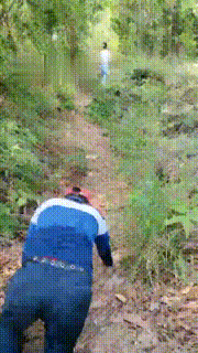 【暴力美学】午后上山遛狗_踢踹_骑狗脖子下山 bf11006