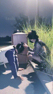 【幽魅】深夜户外遛狗骑马爬行公厕处刑【完整版】 bf33441_1