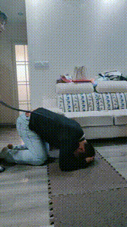 【重庆男神】20岁小姐姐上课耳光鞭打骑马踩踏提档 bf25396